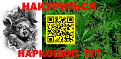 гашик Будённовск