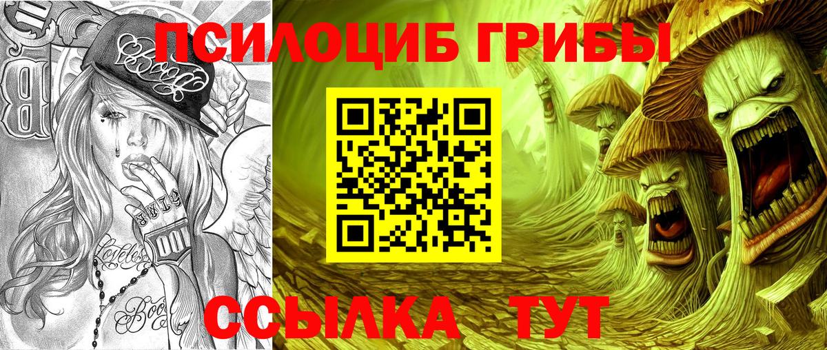 Галлюциногенные грибы мицелий  Вход с VPN  дарнет шоп  Тюмень 
