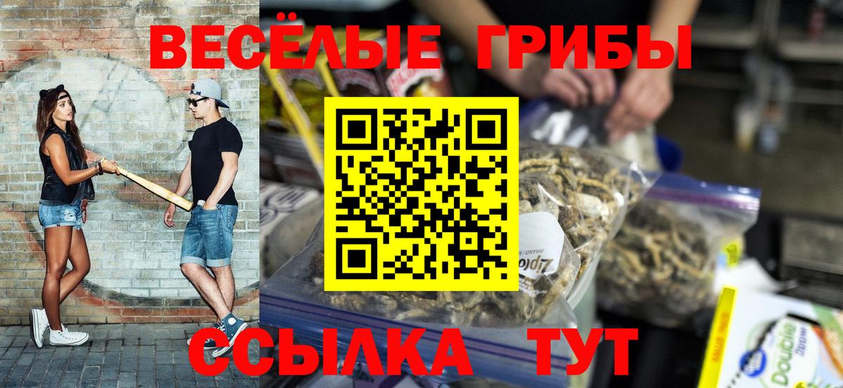 Псилоцибиновые грибы MAGIC MUSHROOMS Тюмень
